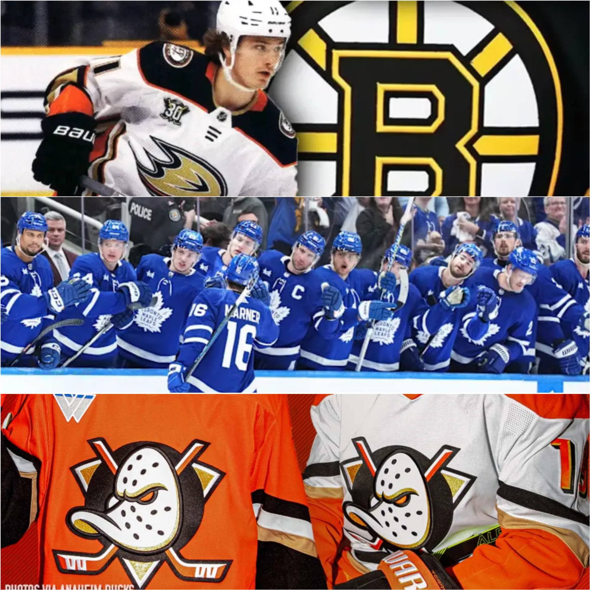 image_6738073c20e35 NHL Trade Buzz: Bruins, Ducks, and Maple Leafs Shake Things Up