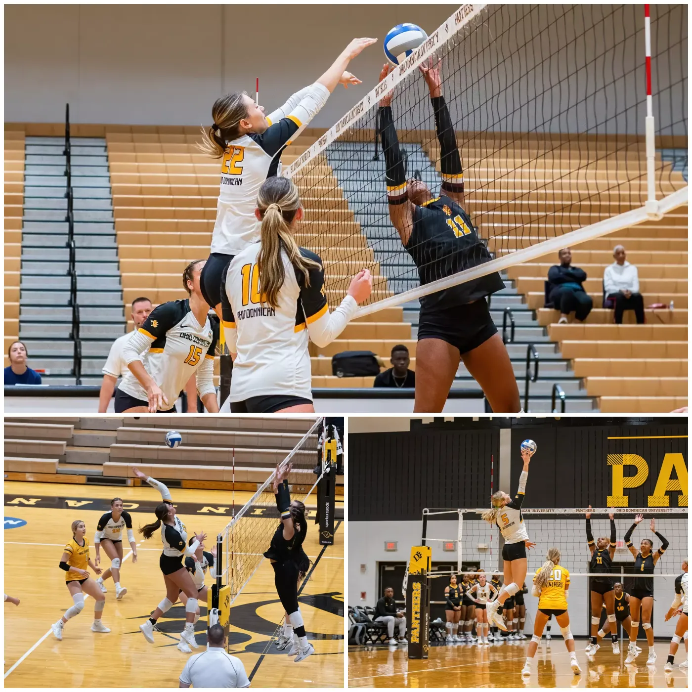 image_673ab87ac992f Ohio Dominican Volleyball Ends Regular Season with a Dominant Sweep