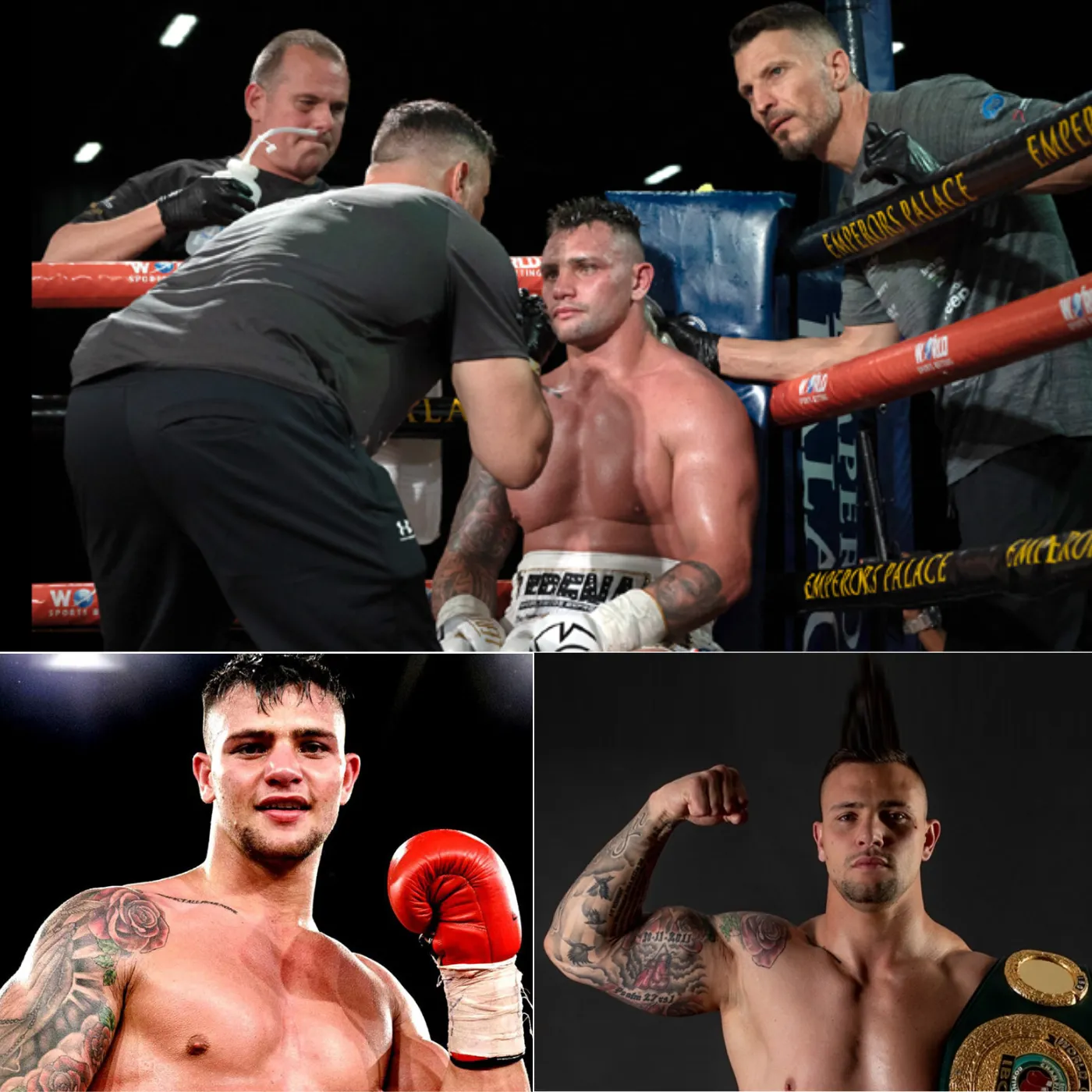 image_673bebc6dcd63 Kevin Lerena Challenges Jake Paul for WBC Bridgerweight Title: A Bold Move for Boxing’s Future