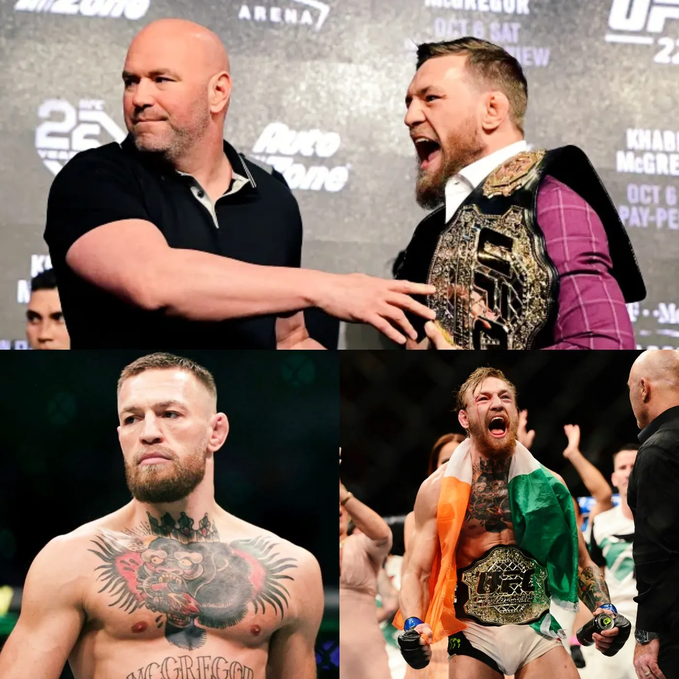 image_673c301f96100 Conor McGregor faces legal charges, delaying his return to the UFC