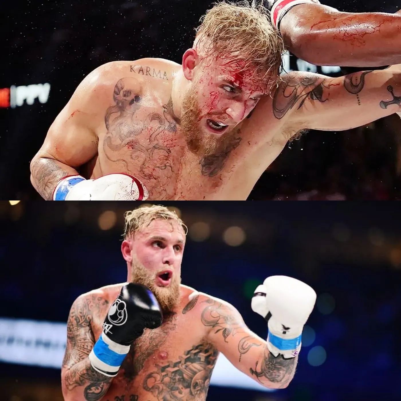 image_673c40dc3f6f5 Jake Paul challenges Conor McGregor to both boxing and MMA in 2 days!