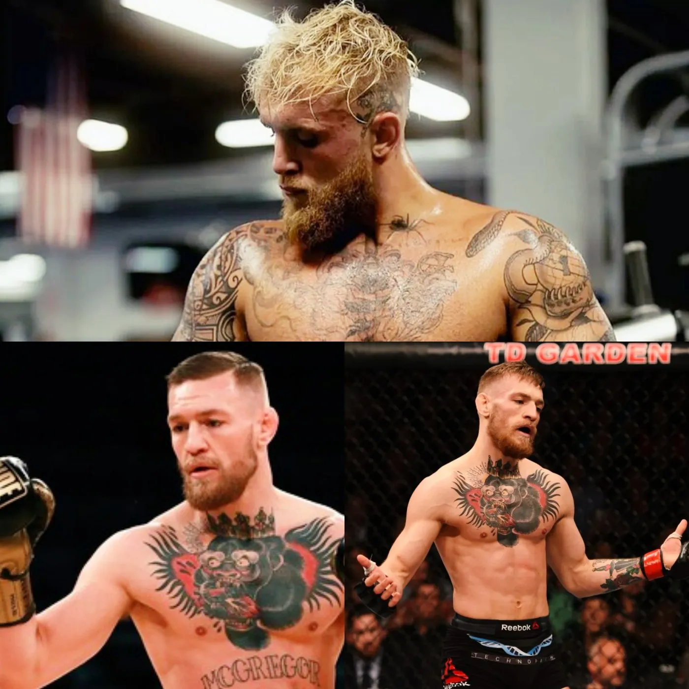 image_673c40ddedfeb Jake Paul challenges Conor McGregor to both boxing and MMA in 2 days!