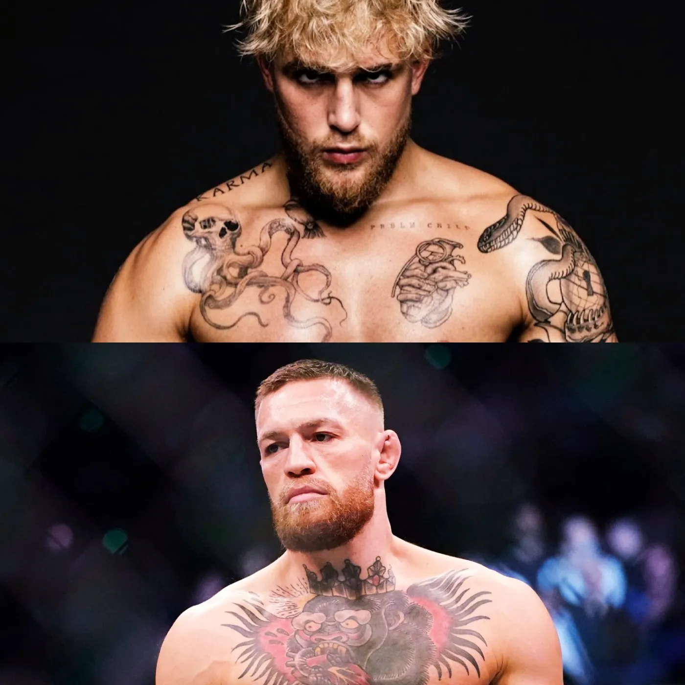 image_673d386a95130 Jake Paul vs. Conor McGregor officially match - agree on the "Random selection technique" fighting rules!