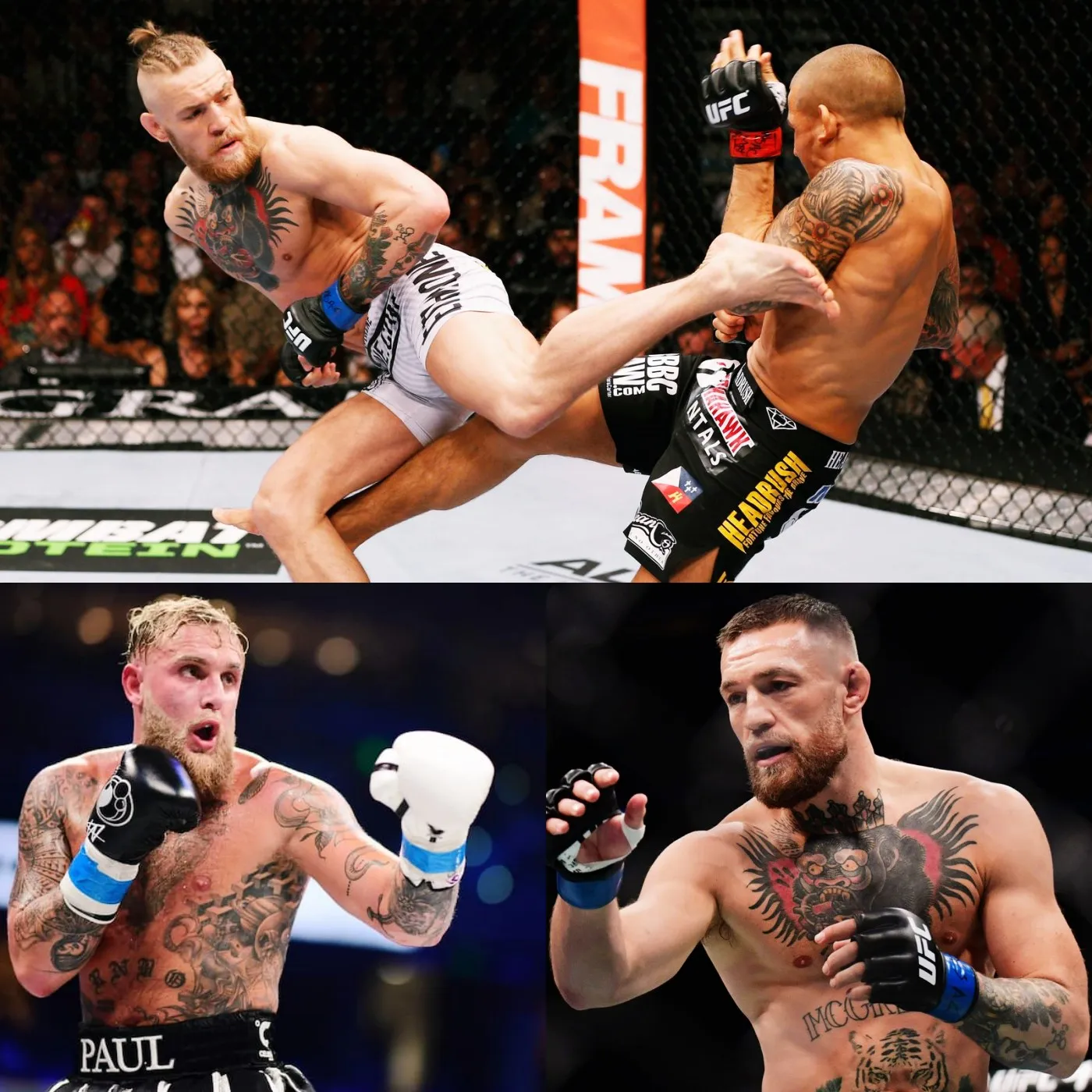 image_673d386c63c4d Jake Paul vs. Conor McGregor officially match - agree on the "Random selection technique" fighting rules!