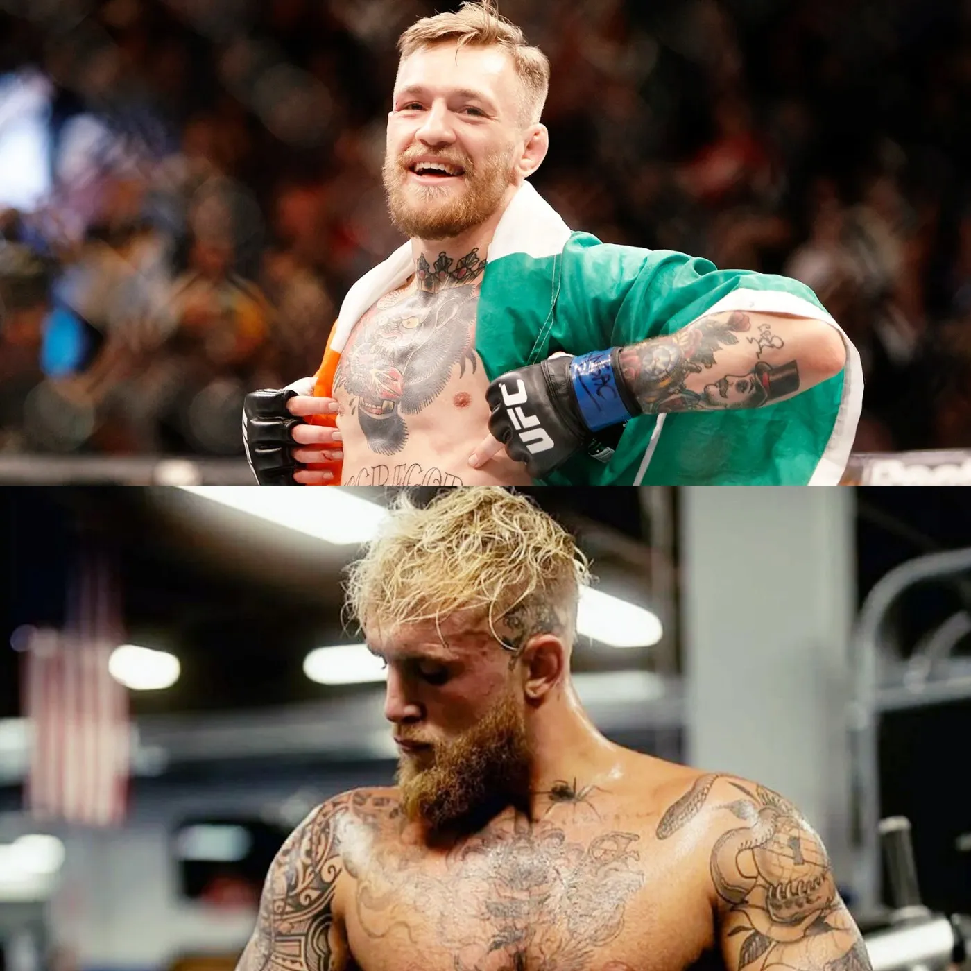 image_673d47838a854 Official News: Jake Paul and Conor McGregor decide to fight under both Boxing and MMA rules