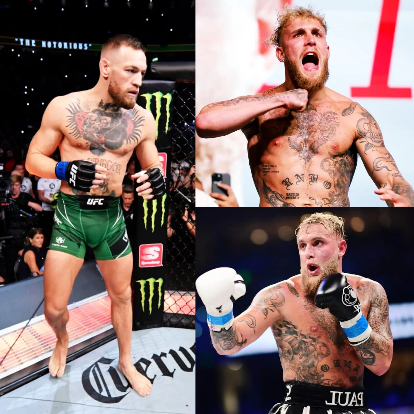 image_673d47853ee29 Official News: Jake Paul and Conor McGregor decide to fight under both Boxing and MMA rules