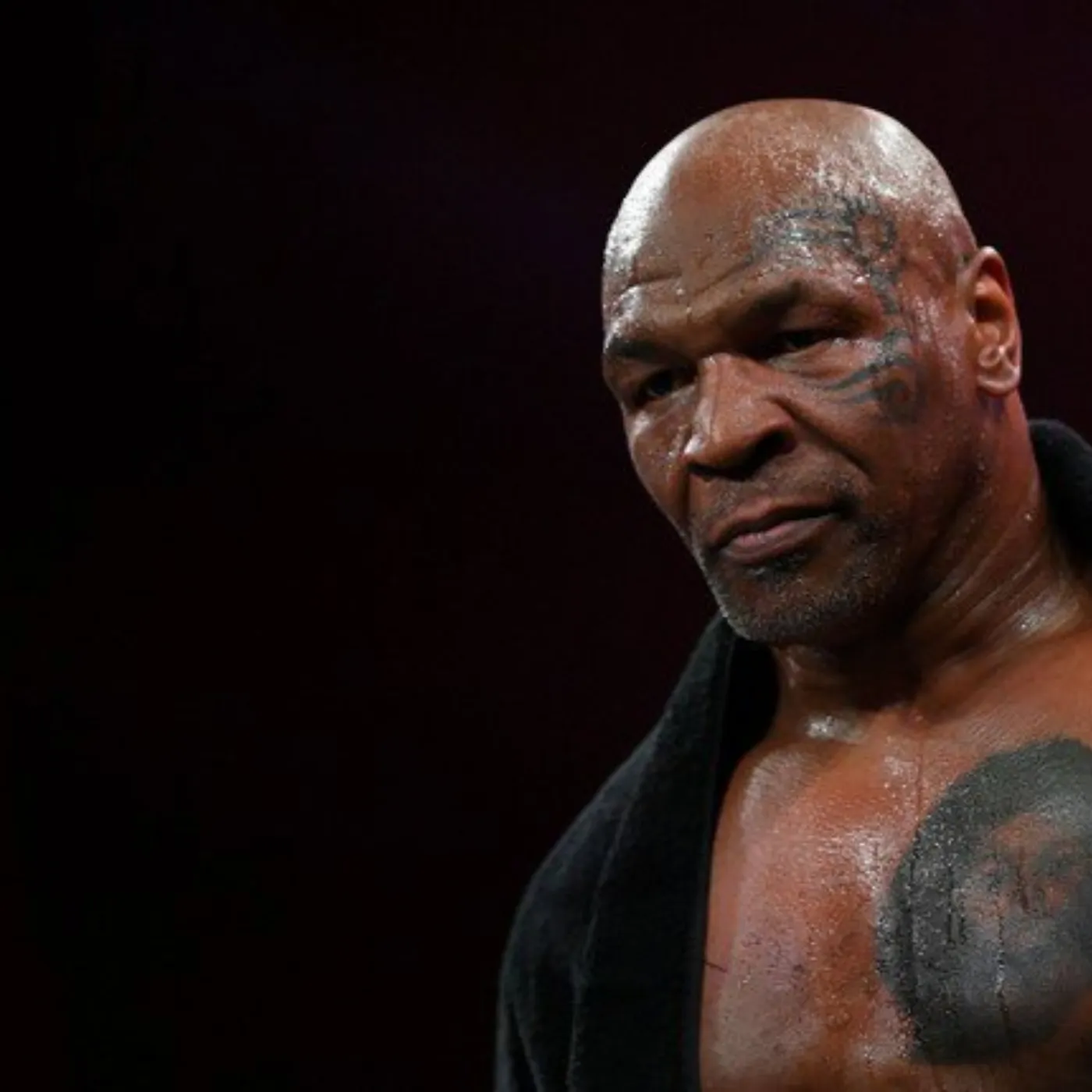 image_6740051c5e46b Mike Tyson: A Career Defined by Perseverance Despite Losses