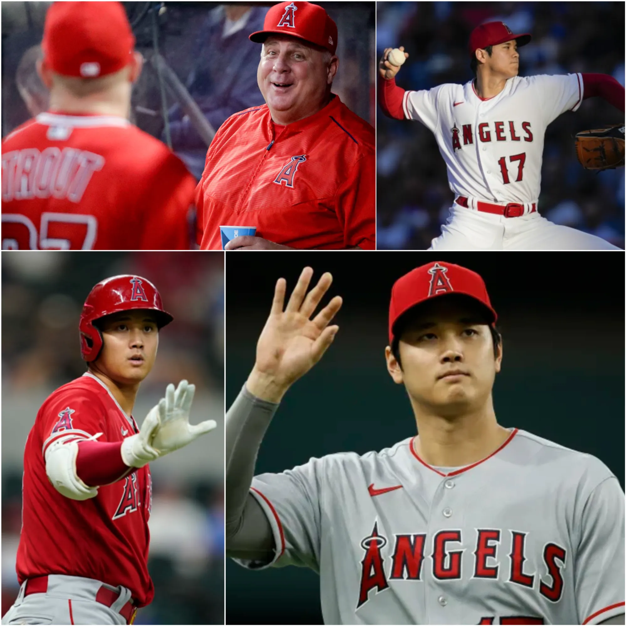 image_6740b5fa65417 Shohei Ohtani: Dodgers Star's Journey from Rookie Sensation to MLB Icon