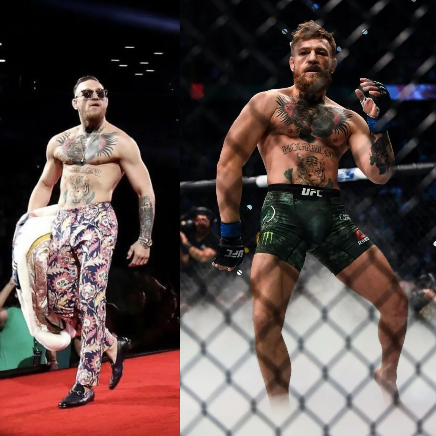 image_67414d5a784b6 McGregor’s Comeback Postponed: UFC Fans Forced to Wait Even Longer for The Notorious