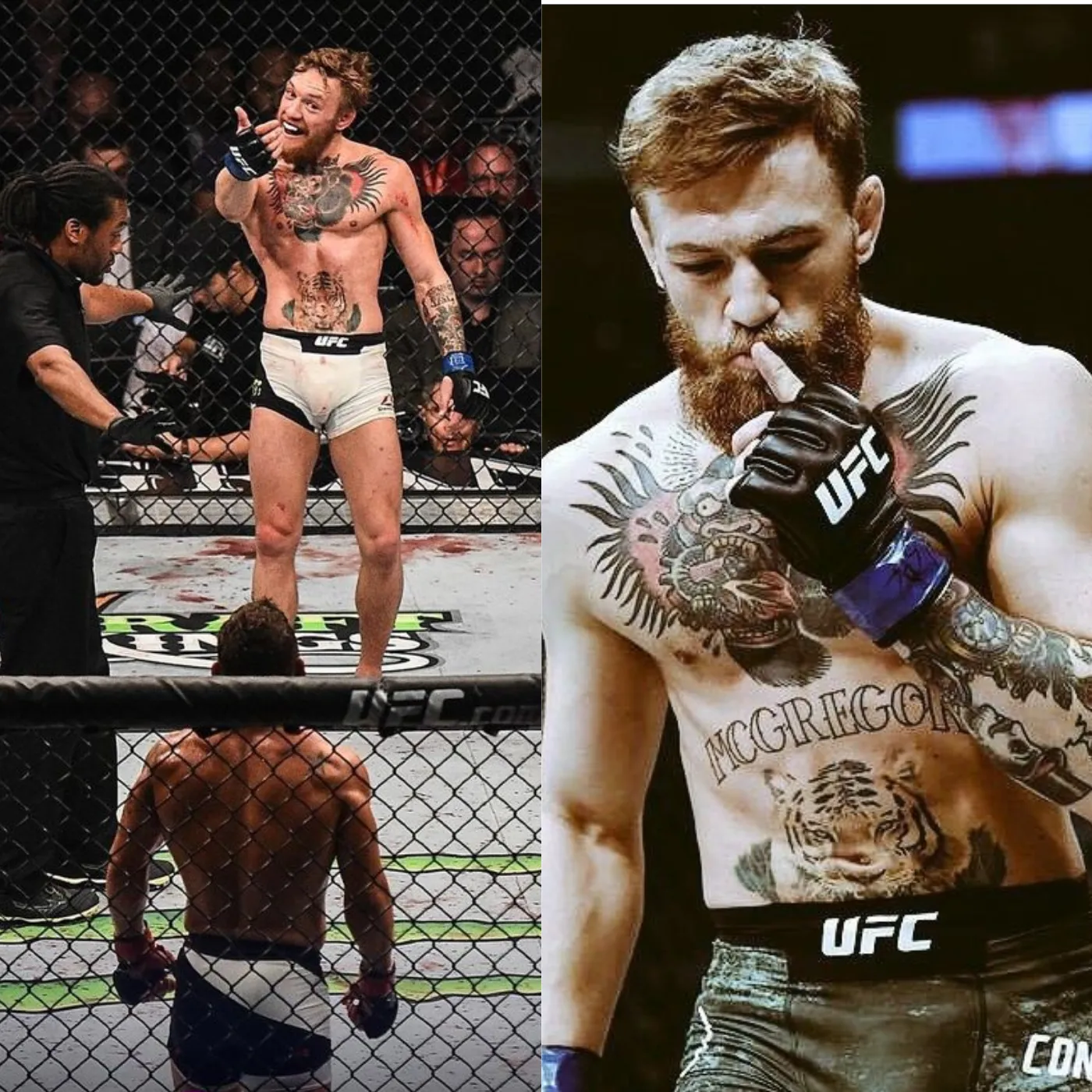 image_67414d5ce5060 McGregor’s Comeback Postponed: UFC Fans Forced to Wait Even Longer for The Notorious