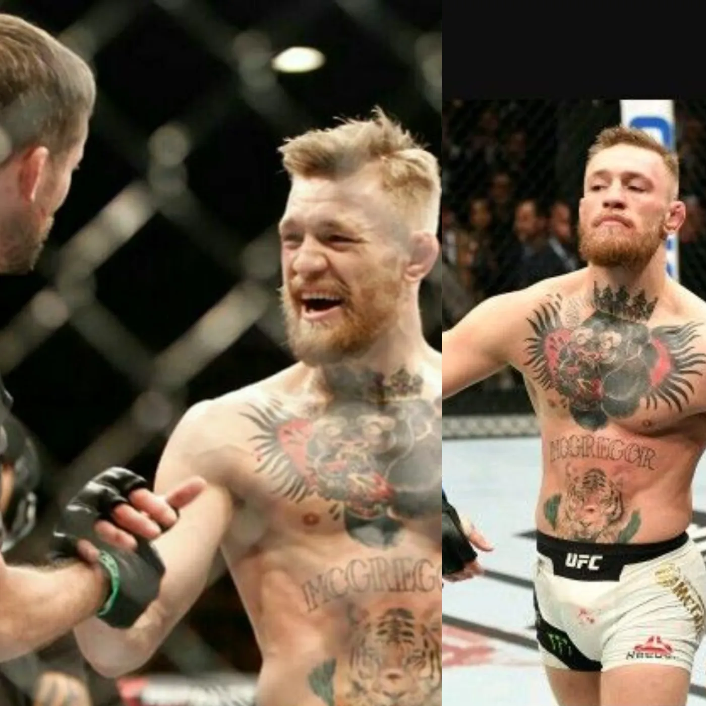 image_6743f1f2bce72 Conor McGregor: From the Octagon to the Boardroom — A Knockout in Business!