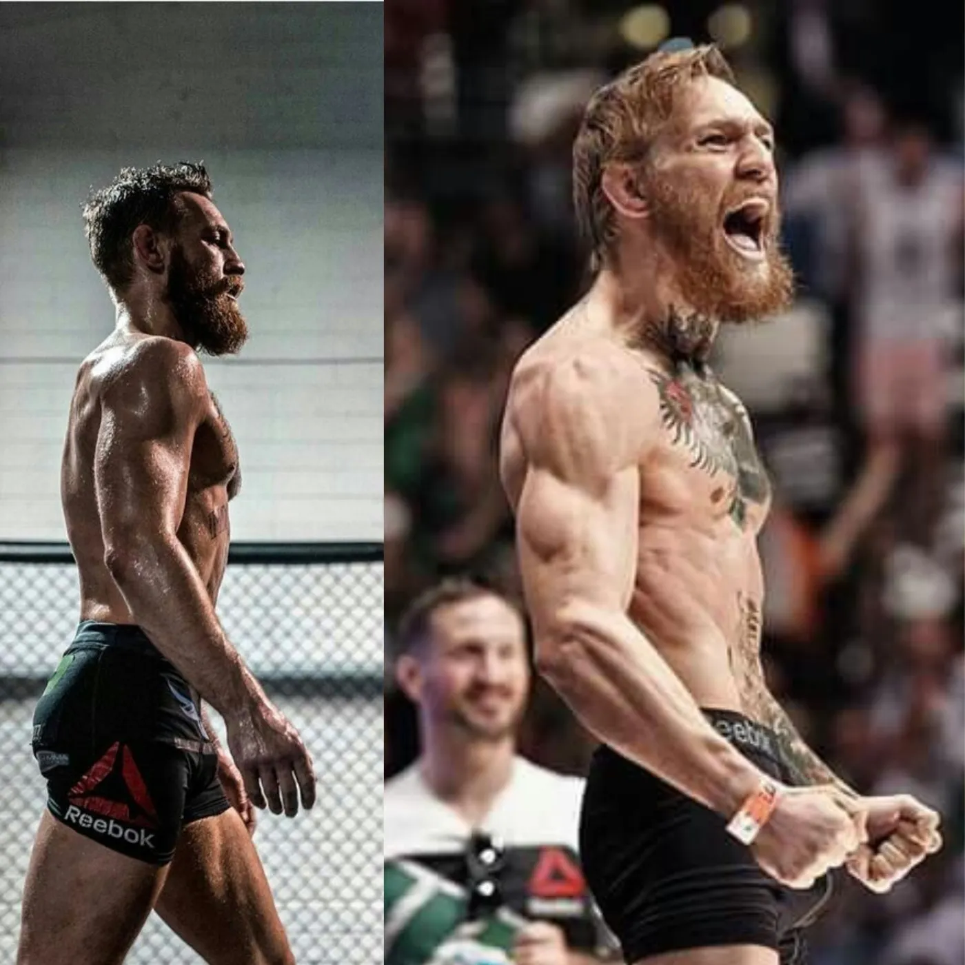 image_674403869c66d Conor McGregor: Just a Dream!!