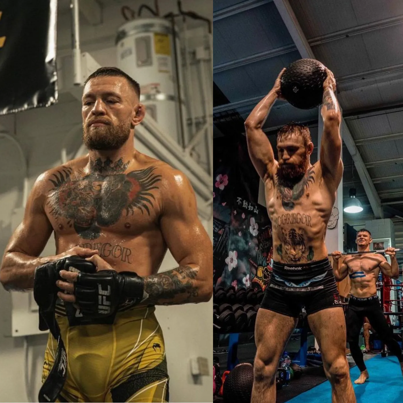 image_67440388ecc79 Conor McGregor: Just a Dream!!