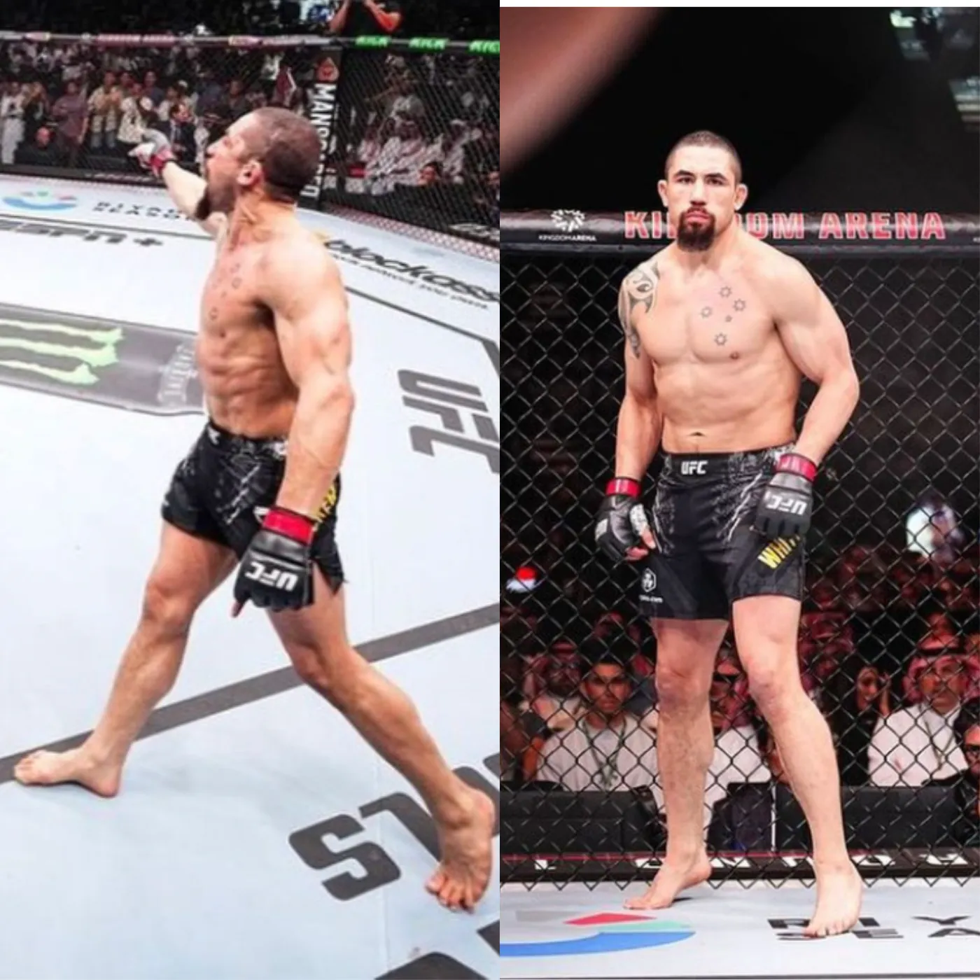 image_6746bfa3bc3d5 The Reaper’s Redemption: Robert Whittaker Is on a Mission to Reclaim UFC Glory!