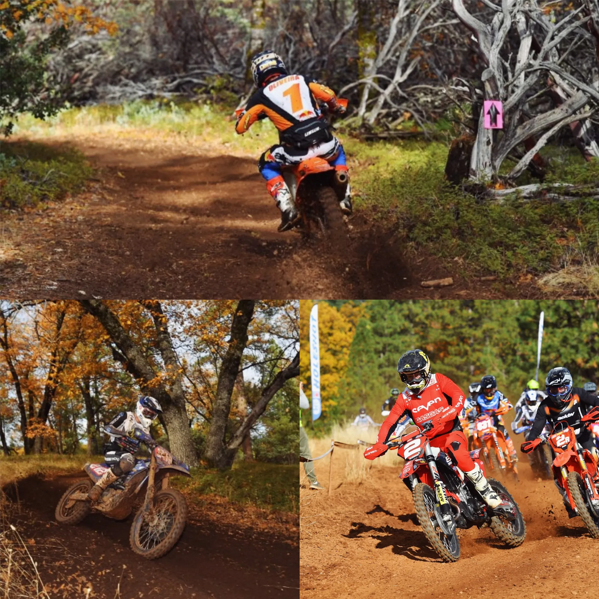 image_6746c4db92e8d Thrills, Drama, and Triumph: The 2024 AMA West Hare Scrambles Round 6 Recap!