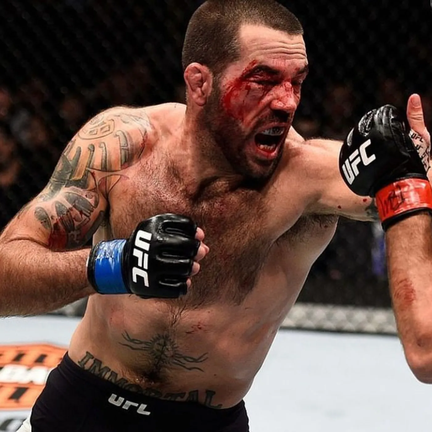 image_6746d0d6ce73a Matt Brown Exposes PFL-Bellator: “A Disaster, No One Cares About Your Format!