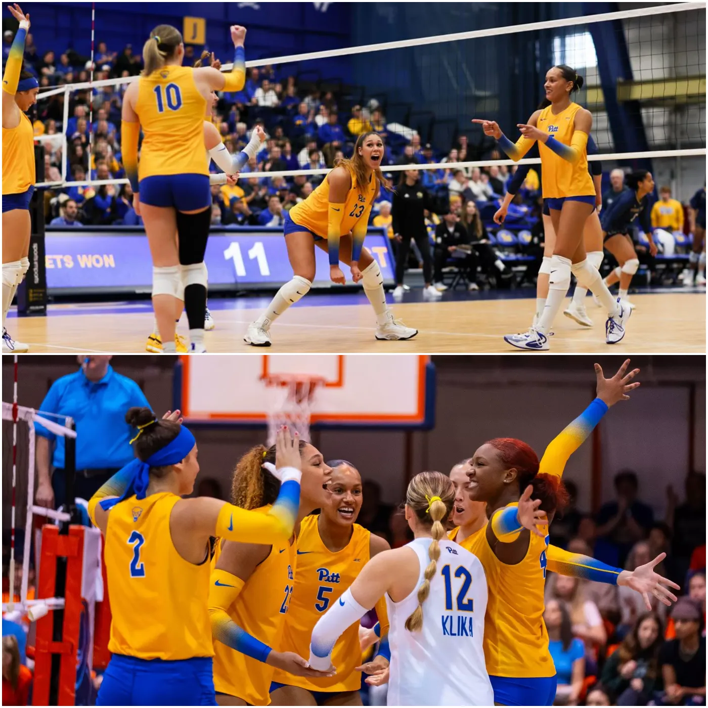 image_674d7c43c6873 Pitt Volleyball: The Dominant Force Heading into the NCAA Tournament