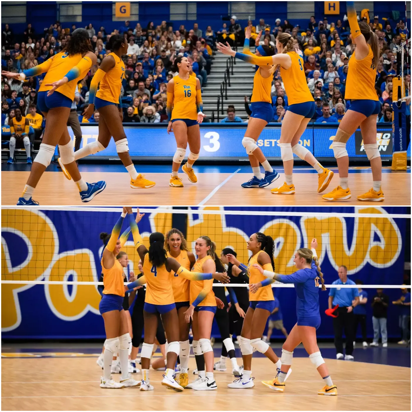 image_674d7c460295e Pitt Volleyball: The Dominant Force Heading into the NCAA Tournament