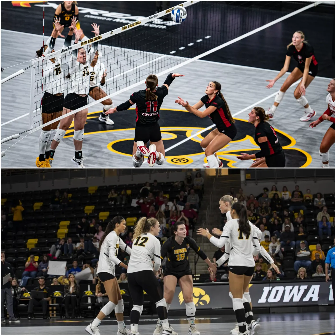 image_674fc9ba37bb3 Evaluating Iowa Volleyball’s 2024-25 Season