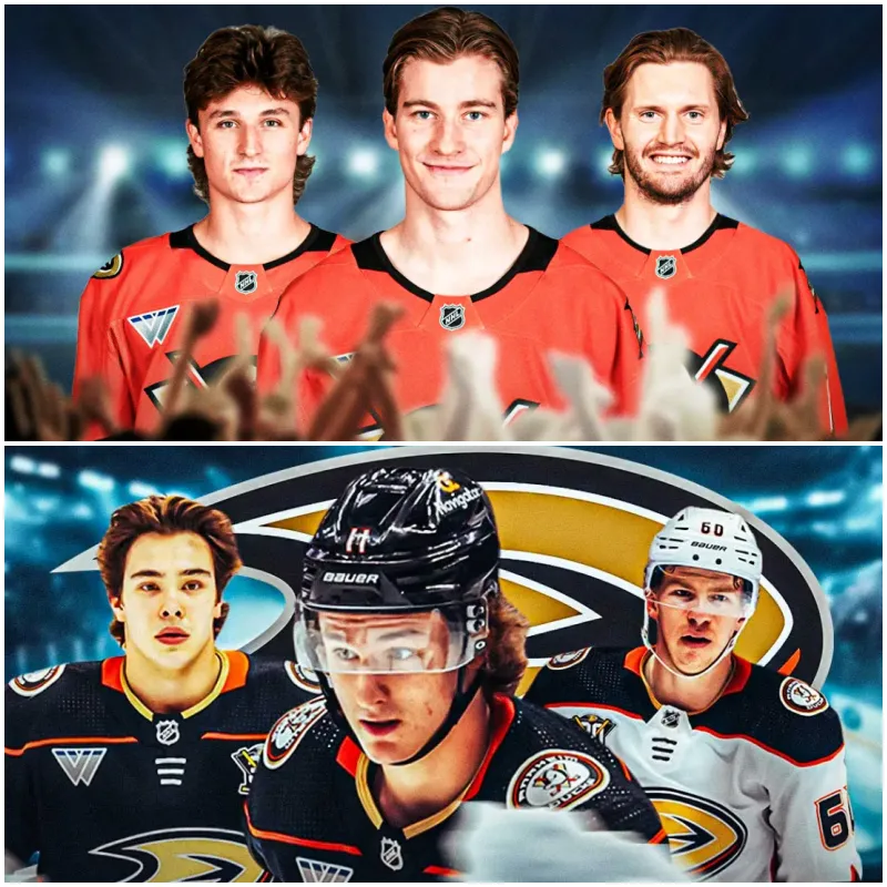 image_675699fd29f94 Ducks' biggest reasons for hope-concern during 2024-25 season