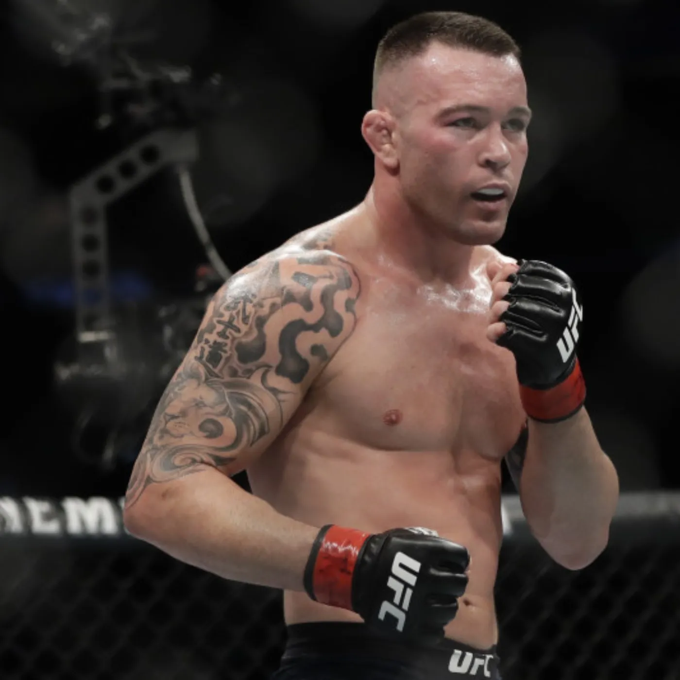 image_6757a98d69c16 Gilbert Burns Shocks Fans: Colby Covington Will Annihilate Joaquin Buckley at UFC Tampa!