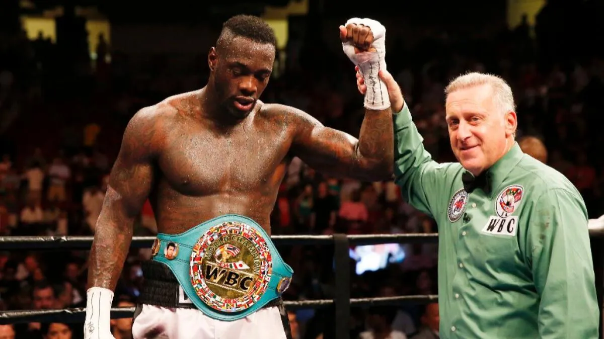 Killing someone in the ring? Deontay Wilder says it's legal, but | Descubra  o mundo do entretenimento com rabbit demo grátis - vitis.sk