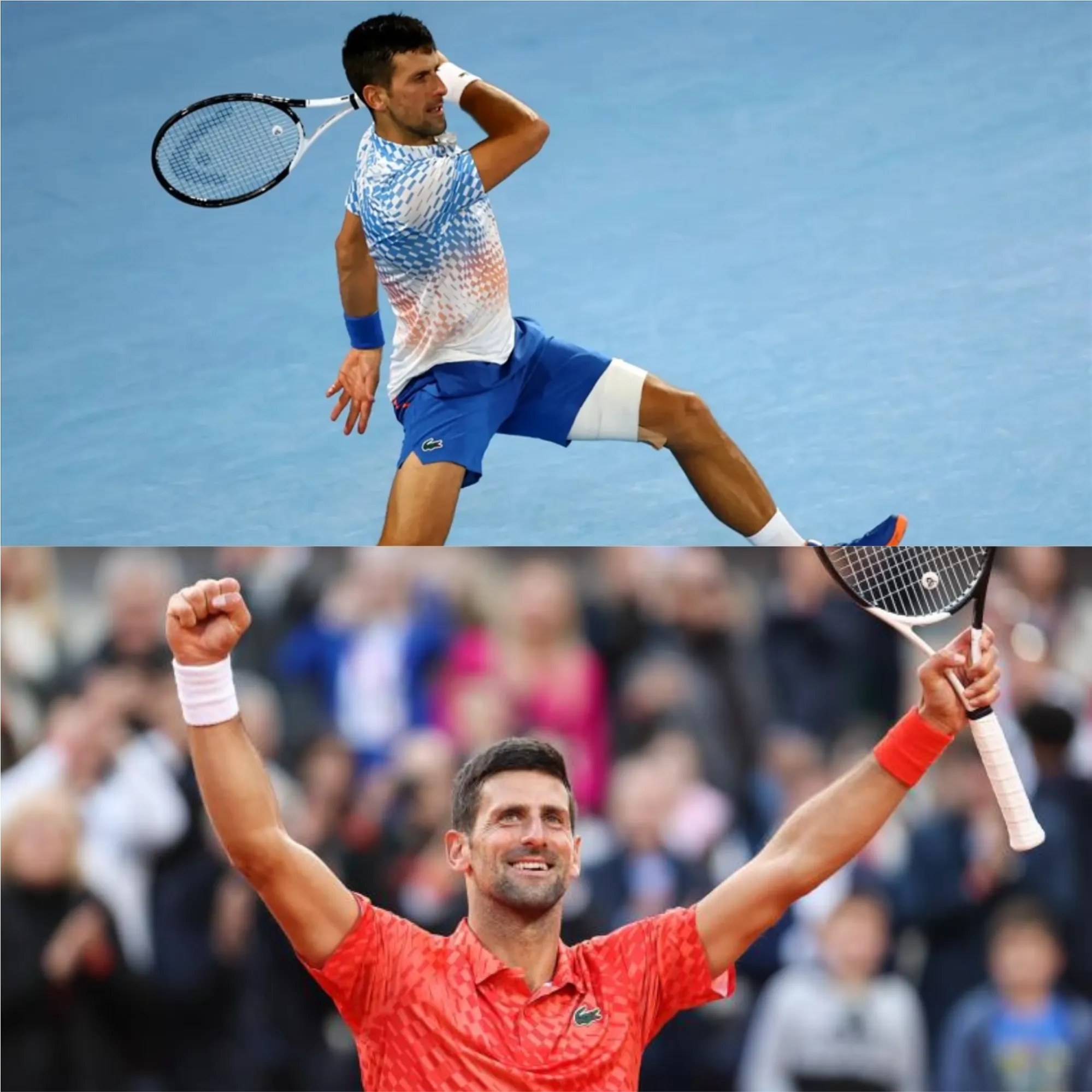 image_67584f710ca2b What Rackets Do Novak Djokovic and the ATP Top 10 Use