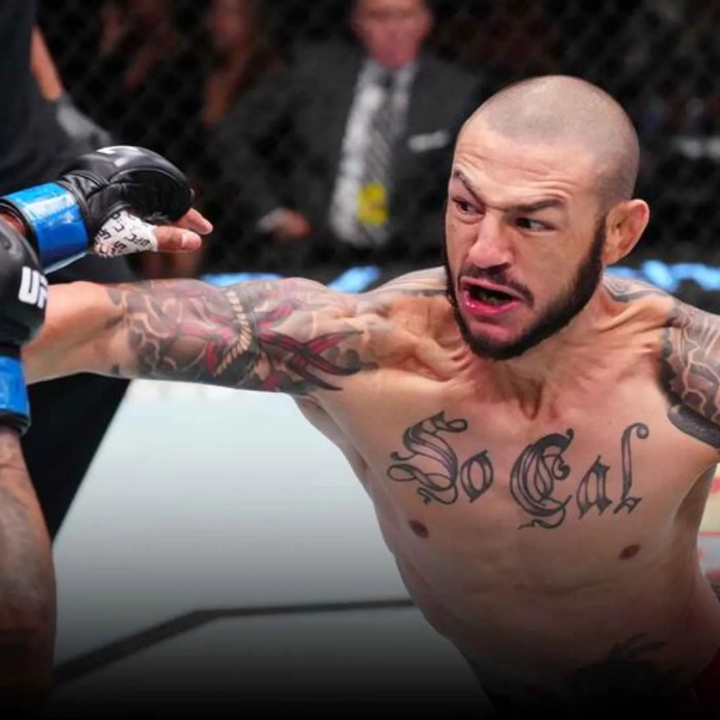 image_6759398257171 Billy Quarantillo challenges the limits with Cub Swanson and promises a stunning knockout finish.