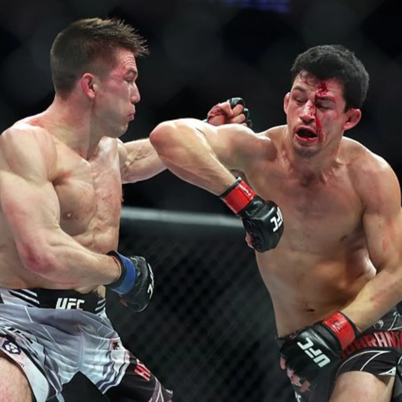 image_67593984da9ac Billy Quarantillo challenges the limits with Cub Swanson and promises a stunning knockout finish.