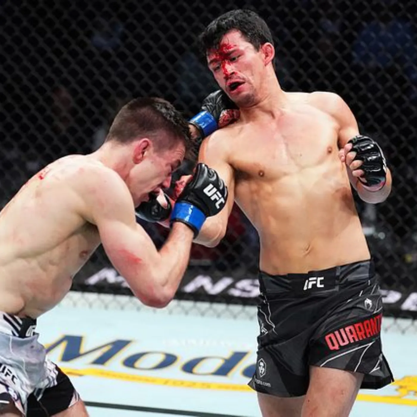 image_675939871f220 Billy Quarantillo challenges the limits with Cub Swanson and promises a stunning knockout finish.