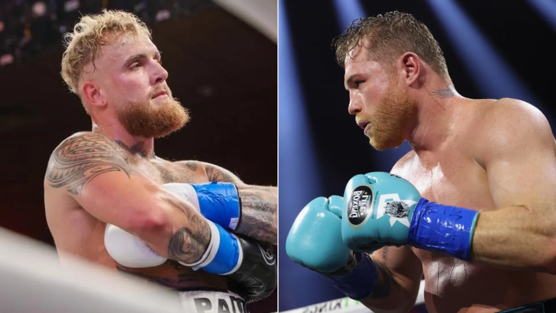 Liệu Jake Paul có đấu với Canelo Alvarez tiếp theo không? Đây là những gì các võ sĩ đã nói về trận đấu tiềm năng | Sporting News Canada