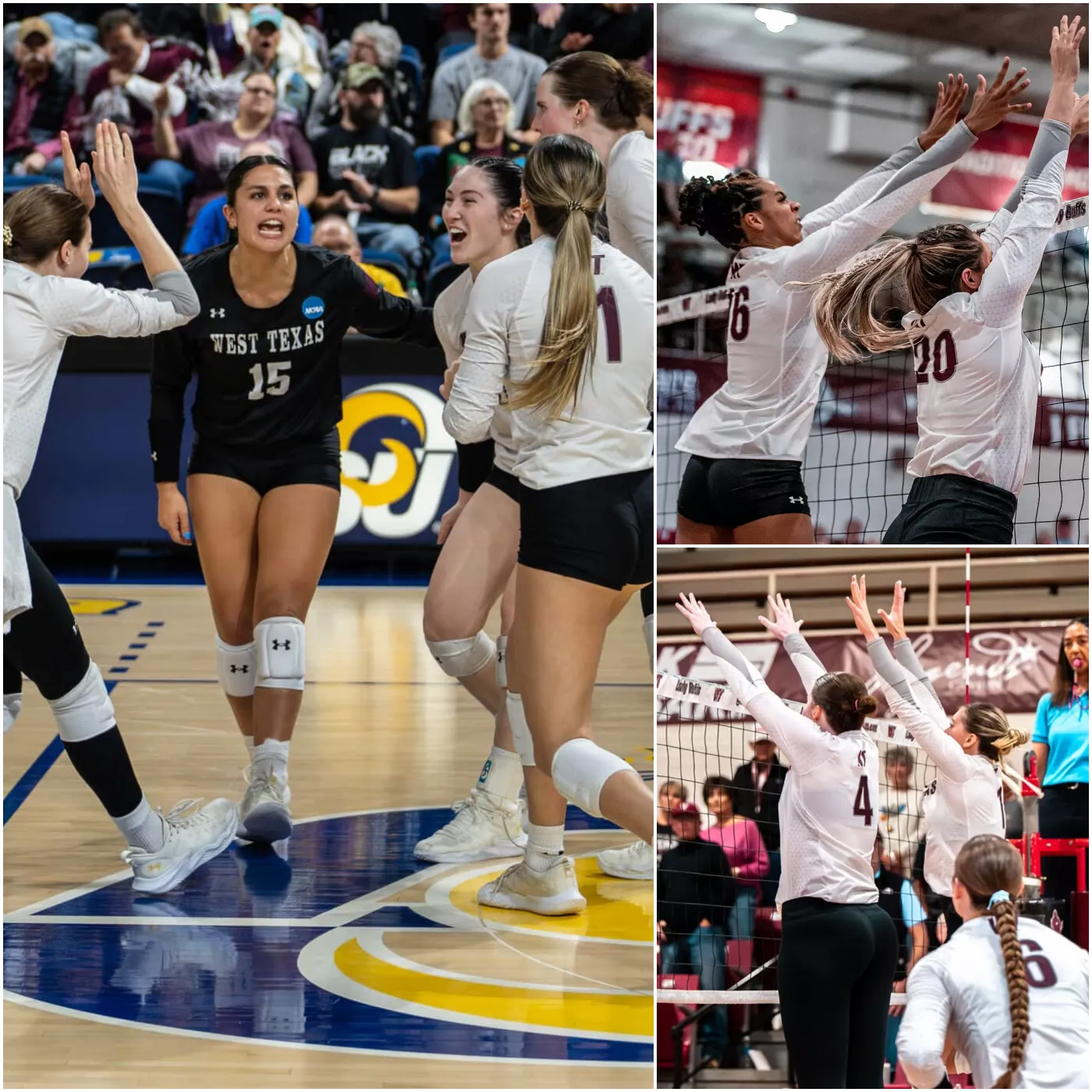 image_675a4b19e1e7e Lady Buffs Volleyball Dominance: Three Players Named All-Americans