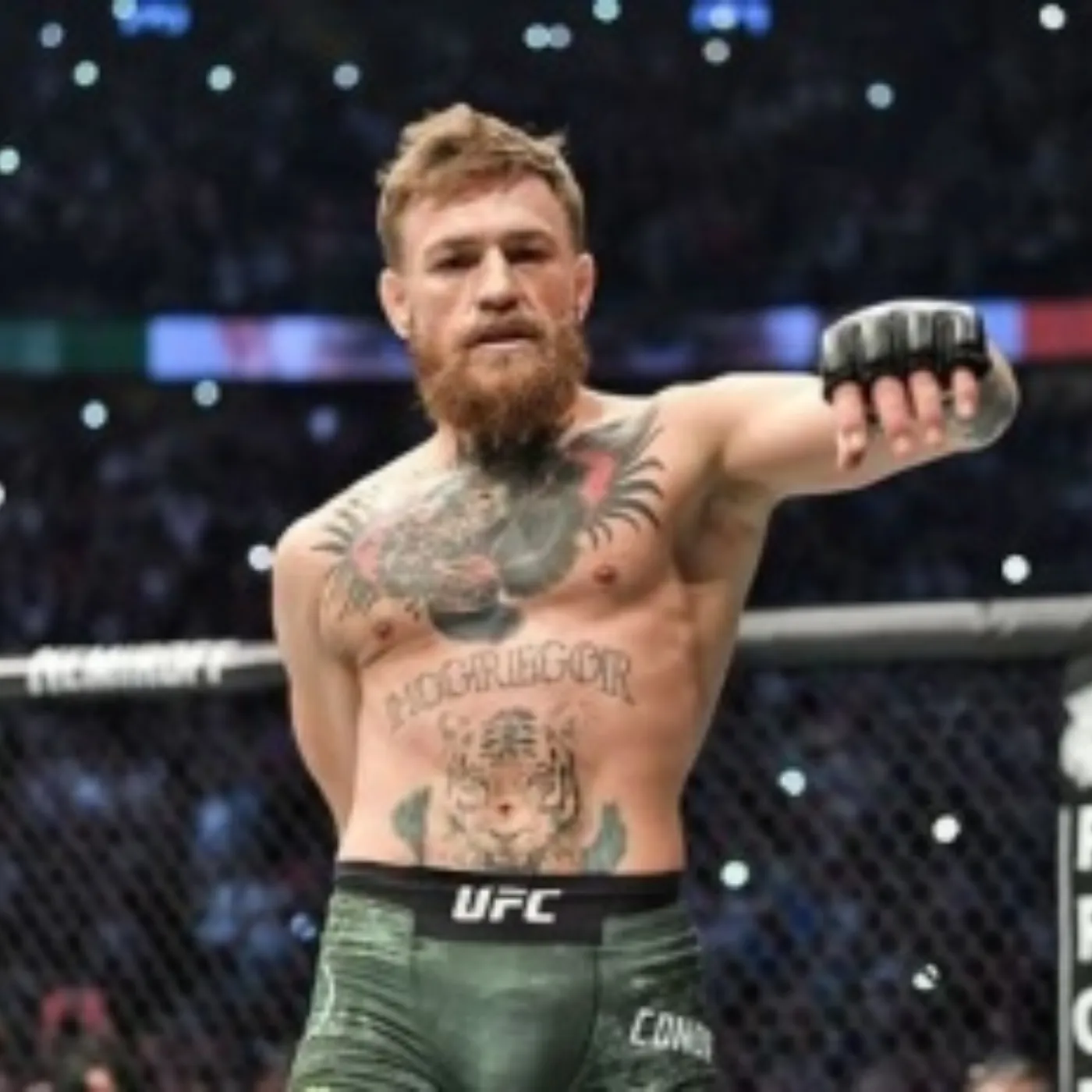 image_675a9eeab4a11 Conor McGregor: From Destroyer to Redeemer – A Shocking Transformation in the MMA World!