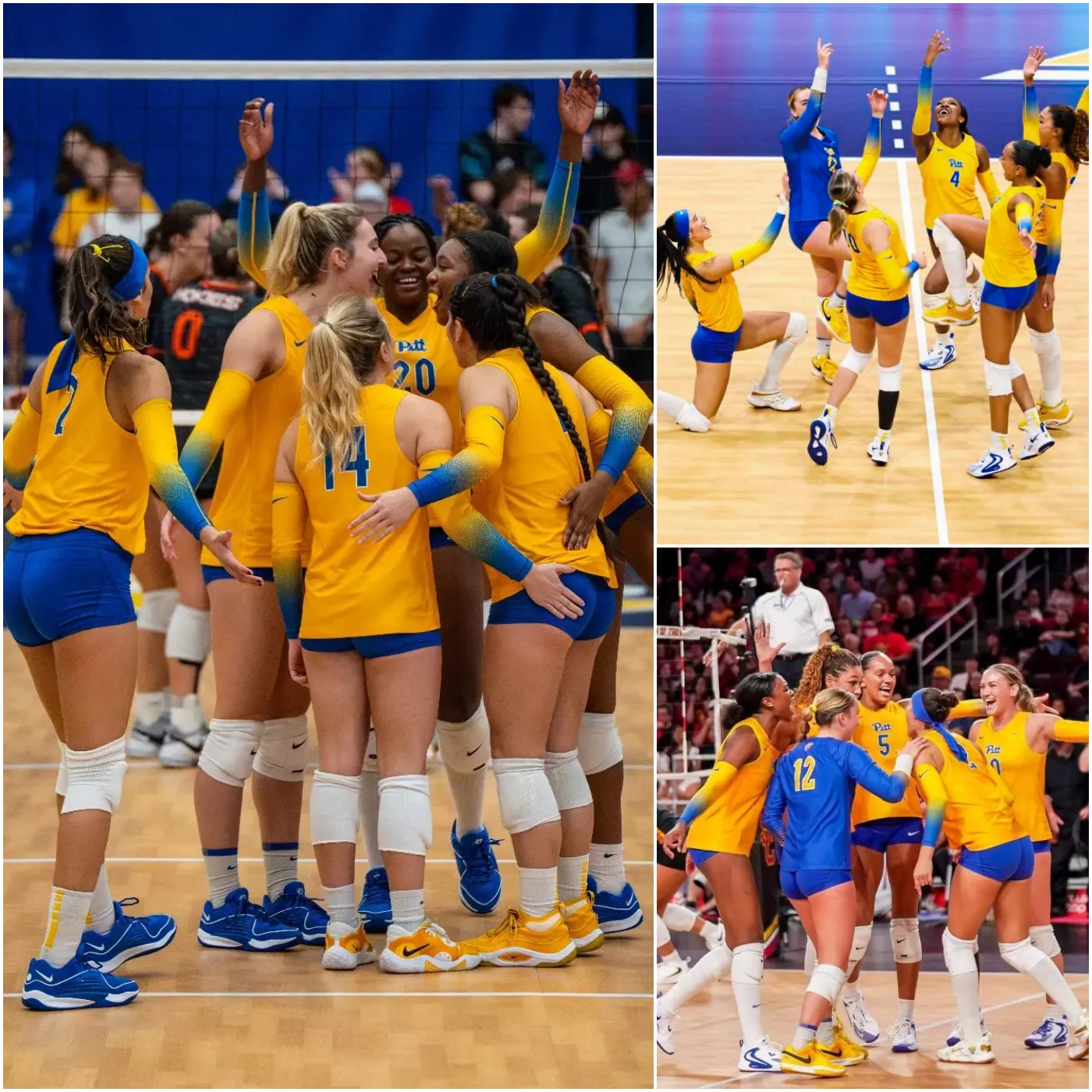 image_675ba25069d14 Pitt Volleyball Advances to Elite Eight for the Fifth Consecutive Year