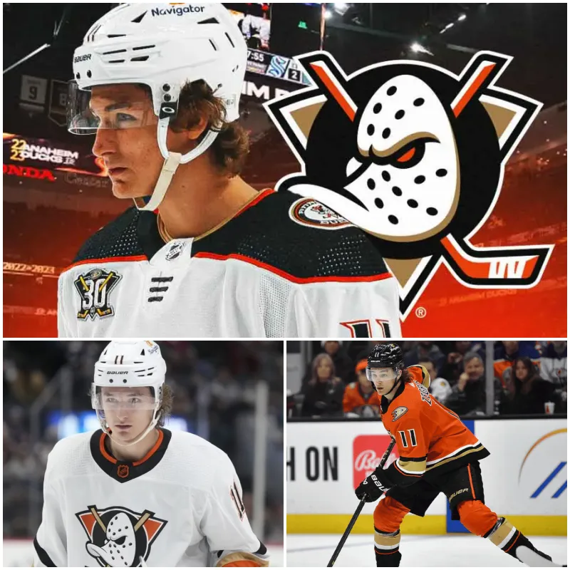 image_675c31a504301 Ducks Get Silver Lining in Trevor Zegras Injury Update