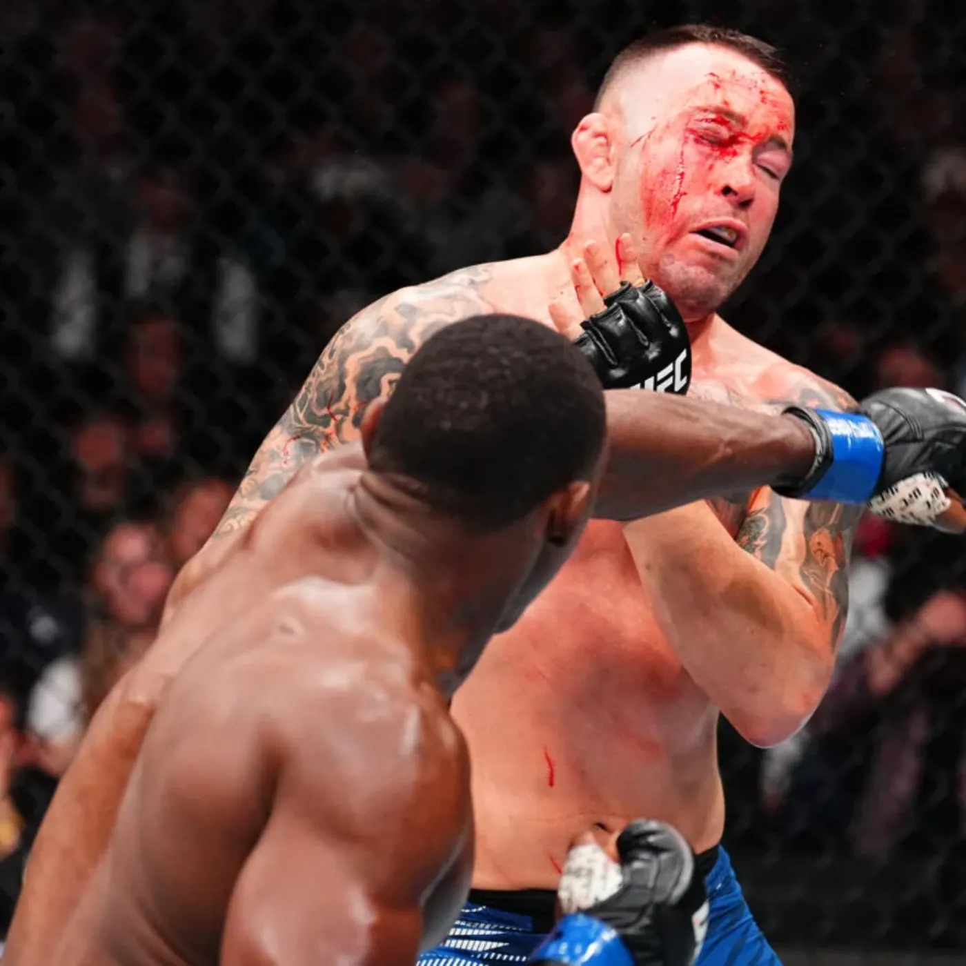 image_675fc933eb102 The Truth About Colby Covington's Serious Mistake in His Devastating Loss at UFC