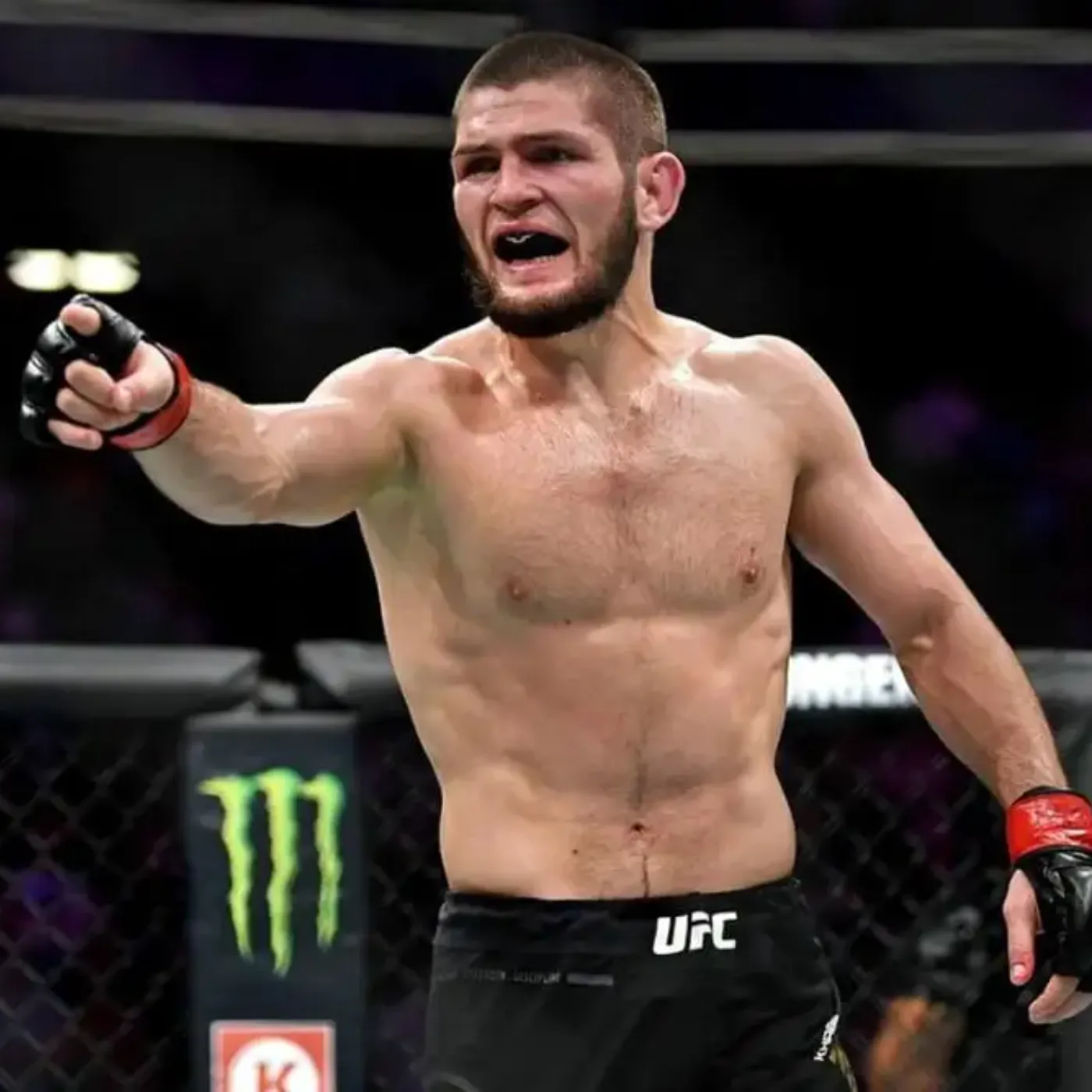 image_67612590bf6e2 Khabib Nurmagomedov Boldly Calls Out Demetrious Johnson with a Remark That Sparks Buzz