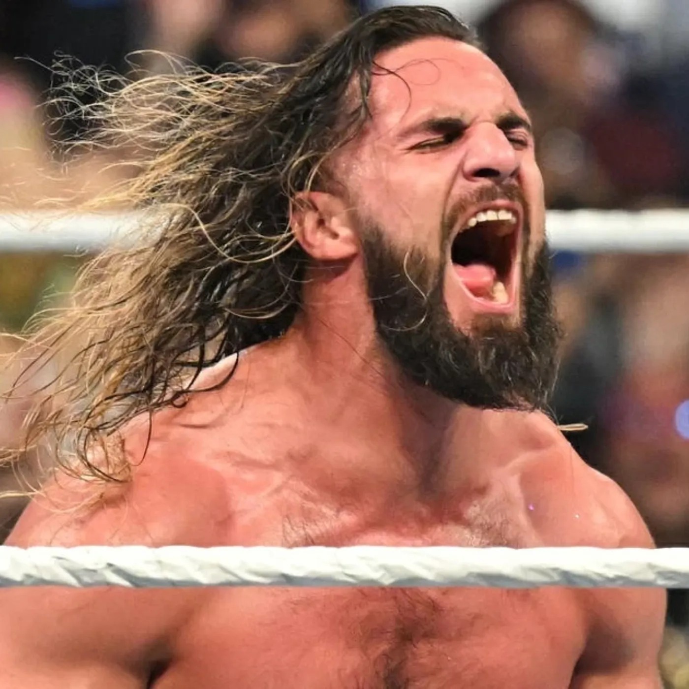 image_67652f833d50f Stunning Critique, Seth Rollins Shocks Everyone by Branding CM Punk a ‘Sycophant’ publicly