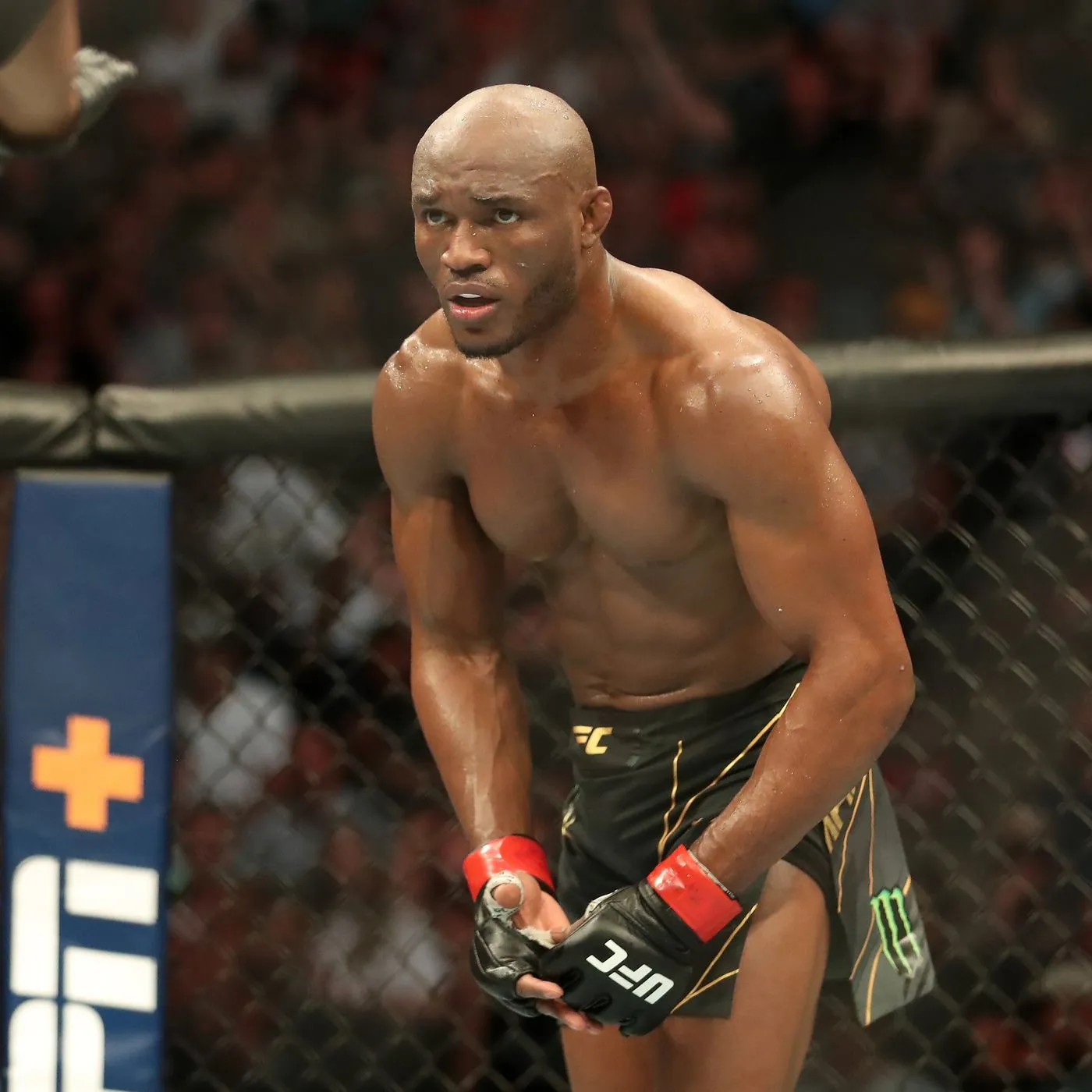 image_676a6546dacc1 Joaquin Buckley challenges Kamaru Usman and gets an unexpected reaction