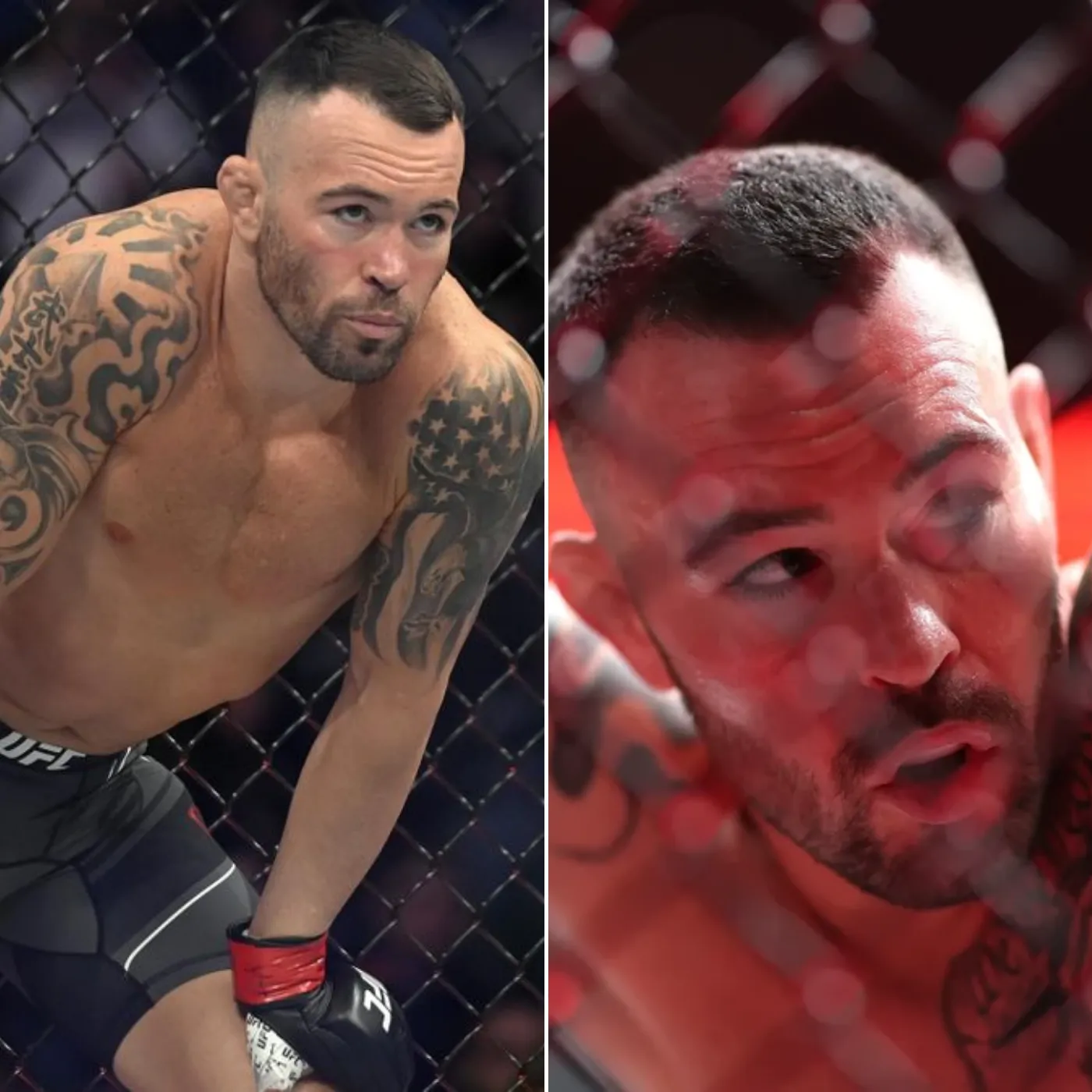 image_676a6d427a466 Paper Tiger Colby Covington Gets a Harsh Reality Check After Embarrassing Loss to Joaquin Buckley