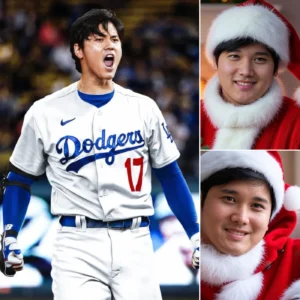 image_676bbb4614b22.webp