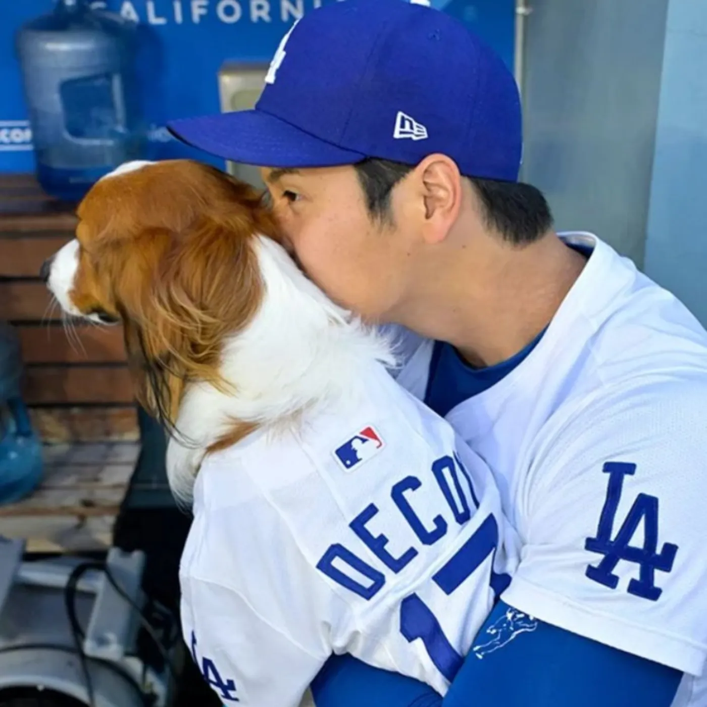 image_676e17a31dd48 Shohei Ohtani The Baseball Superstar with a Special Love for His Wife and Adorable Dog