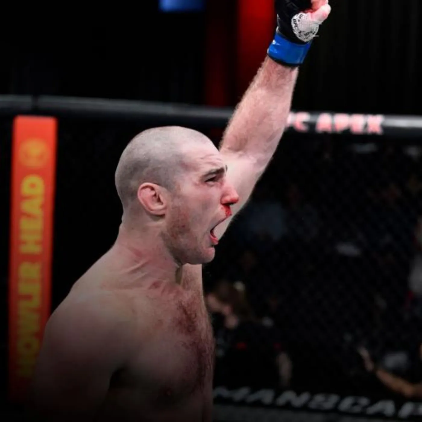 image_677153b4625ac Bellator Champ Backs Sean Strickland to Reclaim UFC Title, Shaking MMA World