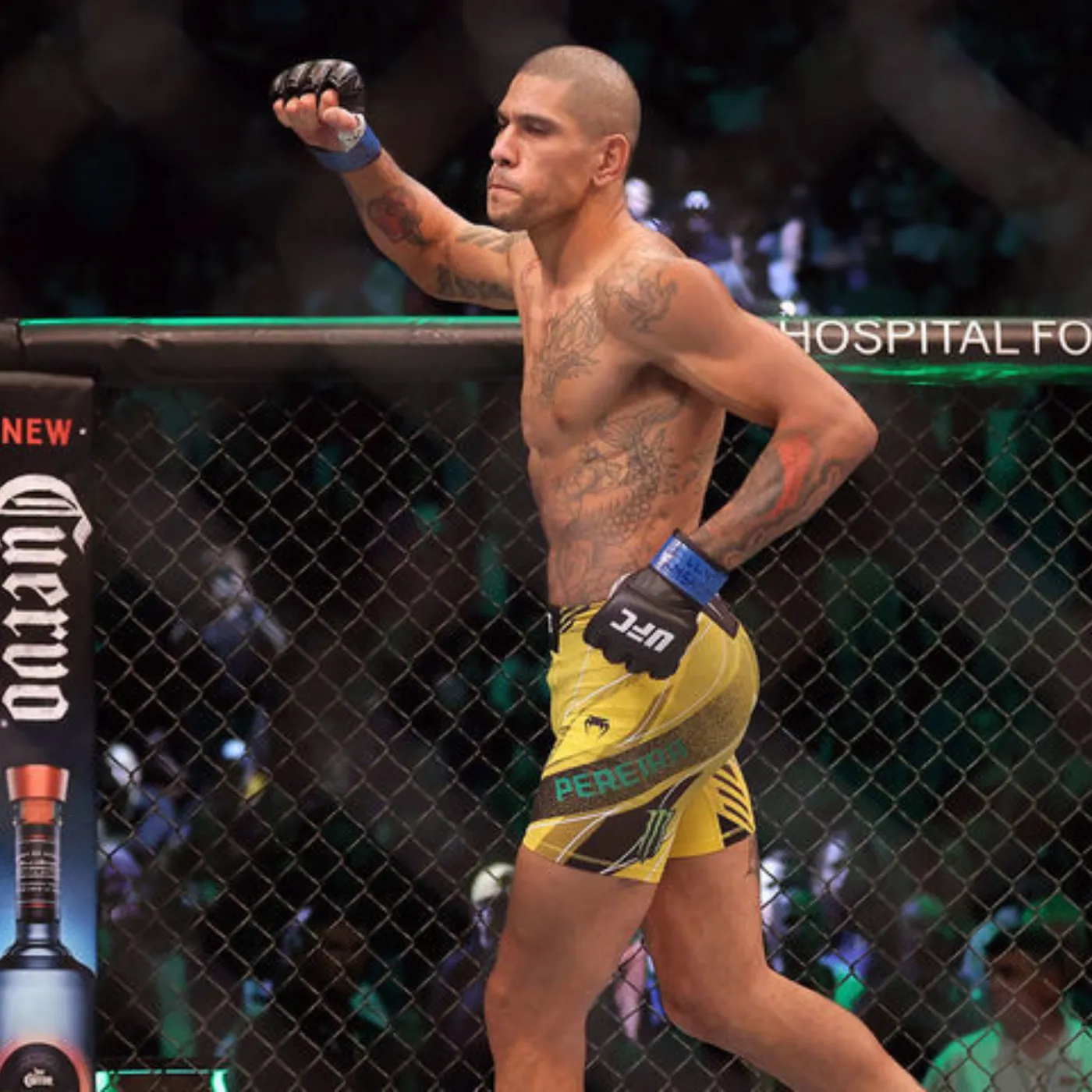 image_6772038d61103 Alex Pereira: The Assassin Ready to Overthrow the UFC Throne, Can He Surpass the Leader.