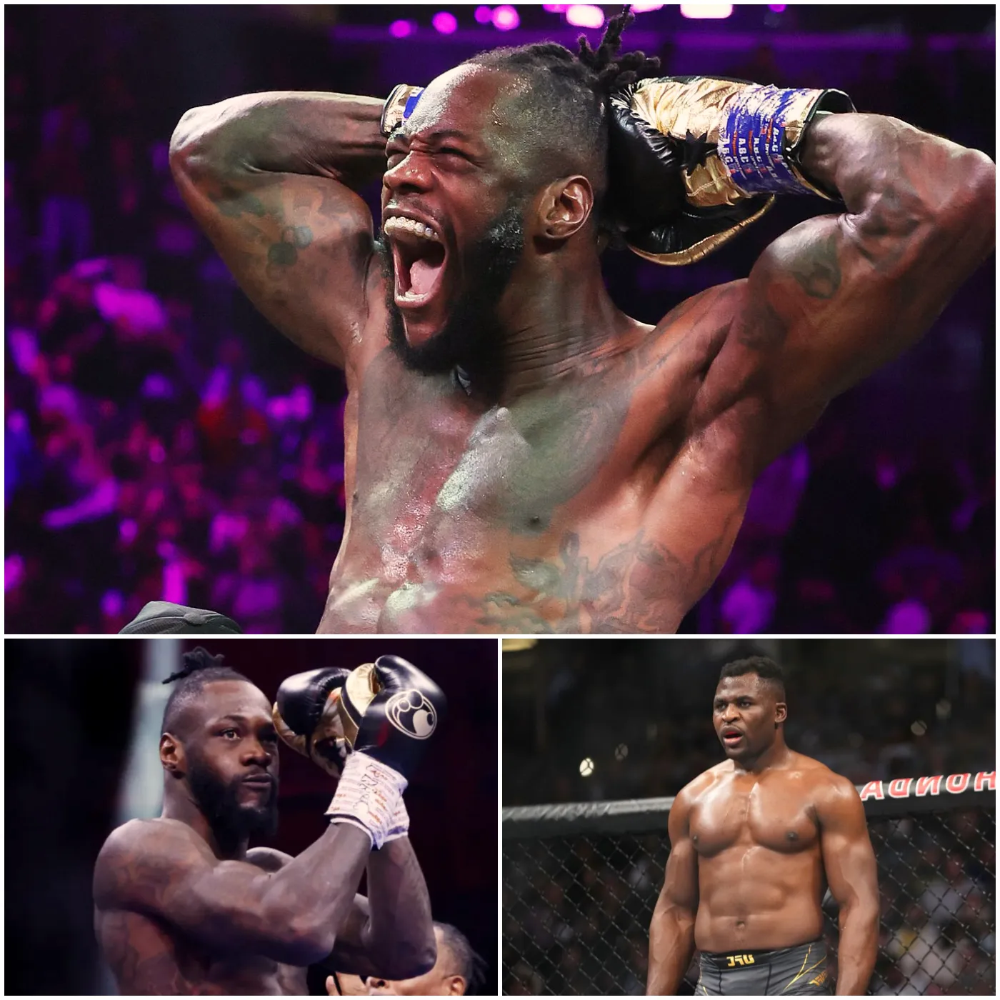 image_6772112894e1a Deontay Wilder's Career on the Line, Fans Call for Trainer Change After Disastrous Zhang Fight