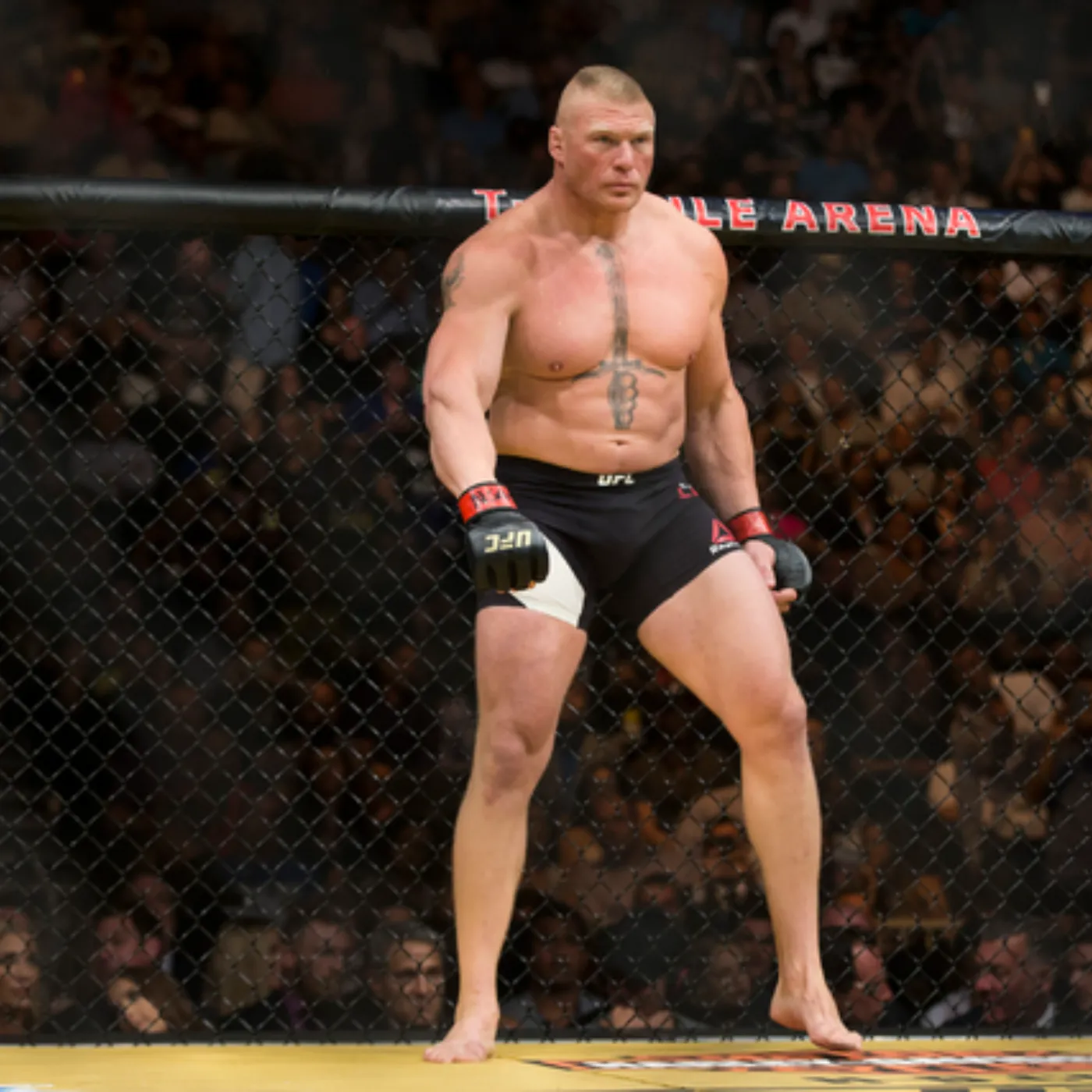 image_67725a2246776 WWE Legend Explains Why Dana White Could Still Deliver Brock Lesnar vs. Jon Jones: The Ultimate Dream Match for WWE Fans