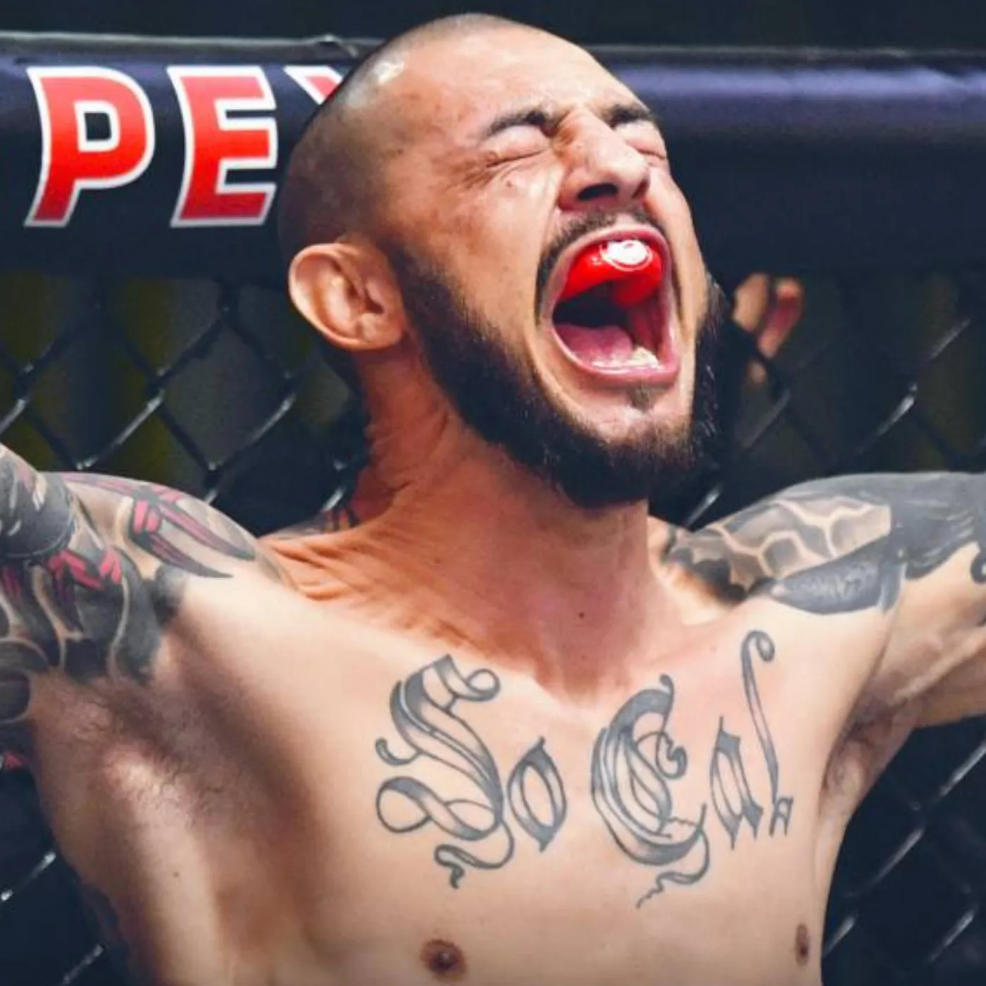 image_677443f695d1c Cub Swanson’s Hidden Secrets Exposed and UFC Can’t Keep It Under Wraps Any Longer