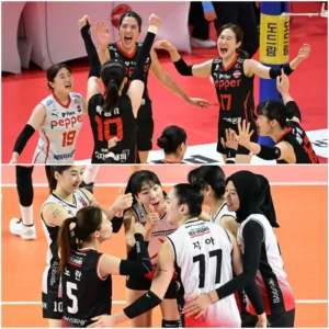 image_6774c2b05e117.webp