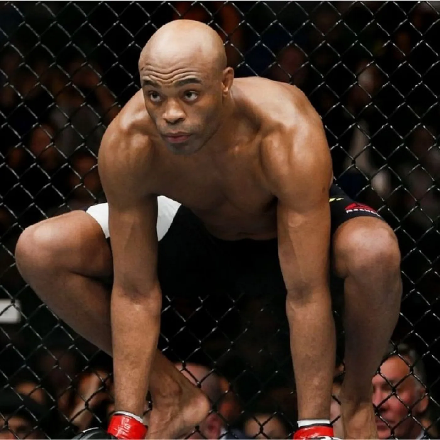 image_6778bd43ec9d6 UFC’s Dark Secret Unveiled as Anderson Silva Secures Shocking Multi-Million Dollar Paycheck