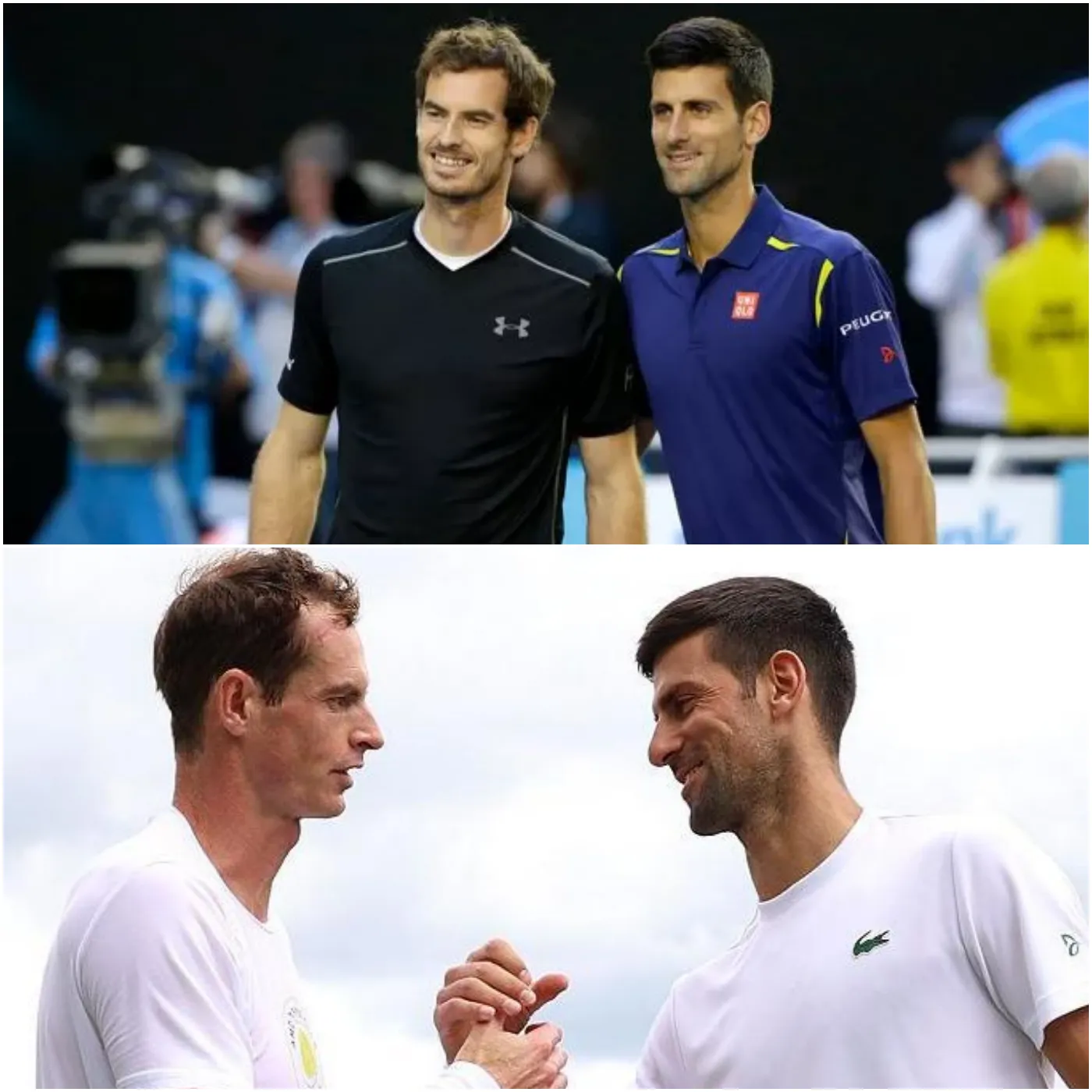 image_677a74487fc38 Andy Murray and His Cute Little Djokovic